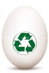 White Egg with Green Recycle Symbol